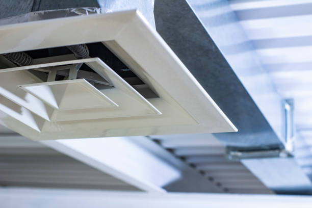 Best Affordable Air Duct Cleaning  in Oldsmar, FL