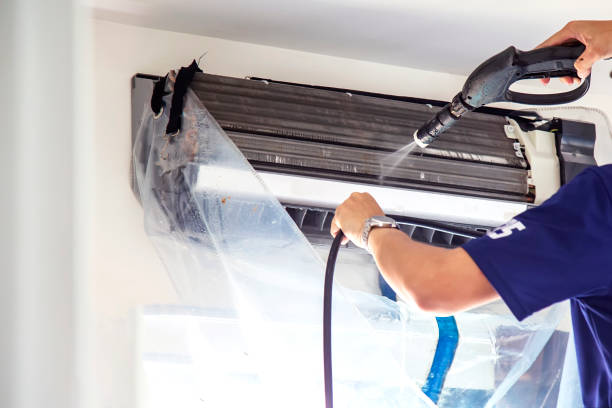 Best Air Duct Sanitizing Services  in Oldsmar, FL