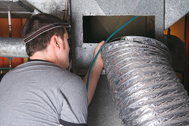 Best Dryer Vent Cleaning Services  in Oldsmar, FL